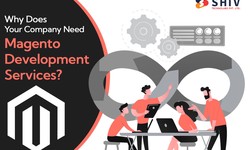Why Does Your Company Need Magento Development Services?