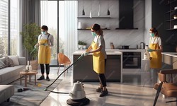 The Gaithersburg Difference: Top Cleaning Companies Revealed