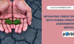 Mitigating Credit Risk with pOrbis Credit & Underwriting Services