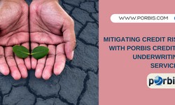 Mitigating Credit Risk with pOrbis Credit & Underwriting Services