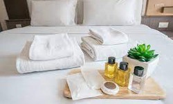 Hidden Gems: Unconventional Hotel Amenities That Surprise and Delight - Small Details, Big Impressions – Your Guide to Hotel Amenities!