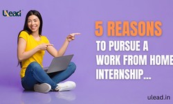 5 Reasons to Pursue a Work From Home Internship