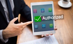 Streamlining Healthcare: The Secrets Behind Successful Prior Authorization Automation Companies
