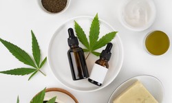 Exploration of Purity and Potency of Organic Hemp Products in the USA