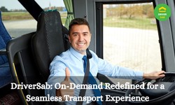DriverSab: On-Demand Redefined for a Seamless Transport Experience
