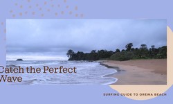 The Best Waves in Orewa Beach and Where to Find Them
