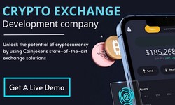 How to Choose the Right Crypto Exchange Development Company for Your Business?