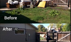 Why hire professional junk removal services?