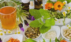 Are Homeopathic Medicines the Natural Path to Healing?