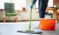 Cleaning Mastery Unleashed: A Guide to Essential Equipment Excellence