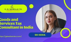 Maximizing Your Tax Efficiency | Goods and Services Tax Consultant in India