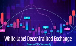 White Label Decentralized Exchange Software to start a DEX instantly