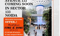 Bhutani Avenue 133 Noida Expressway: A Future Commercial Project In Noida