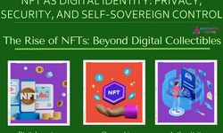 "Non-Fungible Tokens as Digital Identity: Privacy, Security, and Self-Sovereign Control"