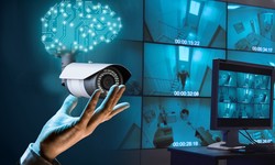 CCTV Monitoring: Insights into Daily Operations and Challenges