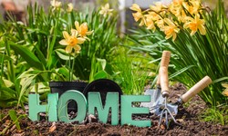 Crafting Your Ideal Lifestyle: Home & Garden