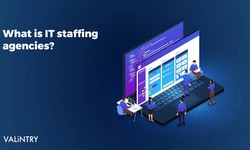 Best IT Staffing Company in 2023 - VALiNTRY
