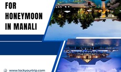 Your Ultimate Choice: Best Hotel for Honeymoon in Manali