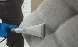 Affordable Upholstery Cleaning Services in Your Area