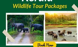 Discover the Natural Paradise with Kerala Wildlife Tour Packages