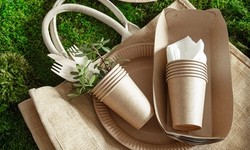 Embracing Sustainability: The Versatility of Bamboo Eco-Friendly Products