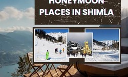 ALL ABOUT THE BEST HONEYMOON PLACES IN SHIMLA