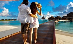 How Can You Find the Perfect Honeymoon Package in India?