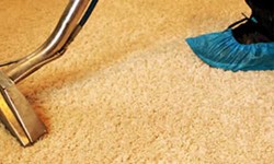 Maintaining Indoor Air Quality: The Role of Regular Carpet Cleaning