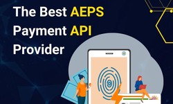 Best AePS Service Provider In Jaipur & Delhi