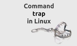 Using the TRAP Command in Linux/Unix with Examples