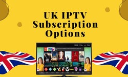 What are the Leading IPTV Service Providers in the UK?