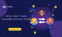 White Label Crypto Exchange Solutions Trends
