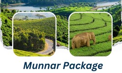 Trip To Munnar A Natural Paradise Away from Chennai