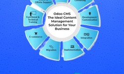 Odoo CMS: The Ideal Content Management Solution for Your Business