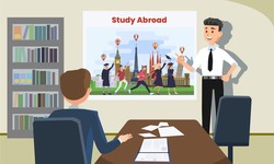 Roles of German Study Abroad Consultant