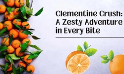 Clementine Crush: A Zesty Adventure in Every Bite