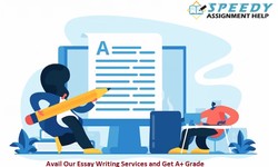 Essay Help and Writing Services by Subject Matter Experts Online