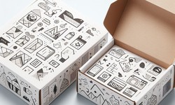 Custom Collapsible Boxes Unboxed- The Ultimate Guide for All Ages
