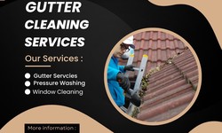 Top Notch Gutter Services Offers for Gutter Cleaning Littleton - A Smart Solution for Your Cleaning Woes