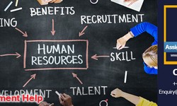 Choose the right HR Assignment Help