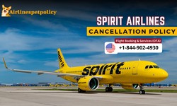 How to cancel Spirit Flight? | Policy | Refund Process & Fees