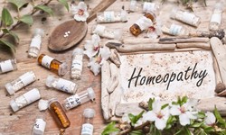 Discovering Wellness: Finding the Best Homeopathy Clinic