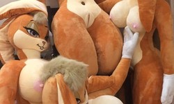 What is a furry sex doll?