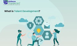 Talent Development Platforms