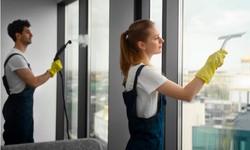 Maintaining a Clean Environment: The Importance of Darnestown Cleaning Services