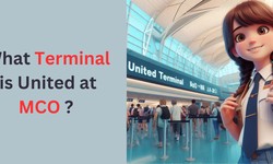 MCO United Terminal +1(800) 864-8331