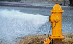 Unlocking the Secrets of Fire Hydrant: Types and Functions Explained