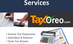 "The Benefits of Hiring a Professional Tax Service"