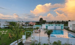 Embark on a Serene Escape: Exploring Jim Corbett's Top Resorts with Vedikant Hospitality