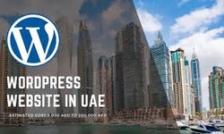 How Quality Impacts Website Development Costs in the UAE